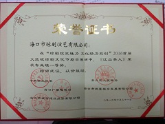 榮獲2016年首屆大致坡瓊劇文化節一等獎